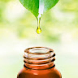 Meet your Posher, Heavenly